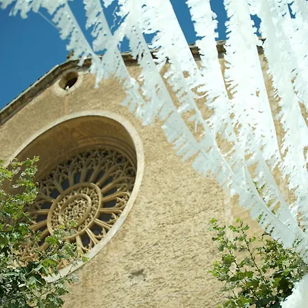 Maronja * Pollenca